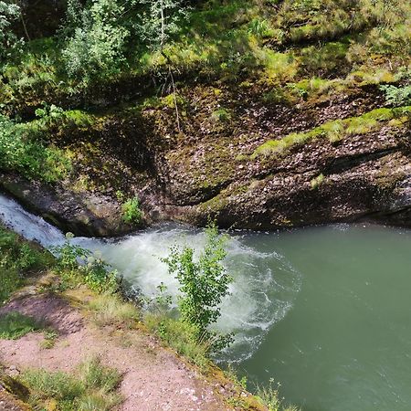 Vila Zapis - Zavojsko Jezero Pirot Buitenkant foto