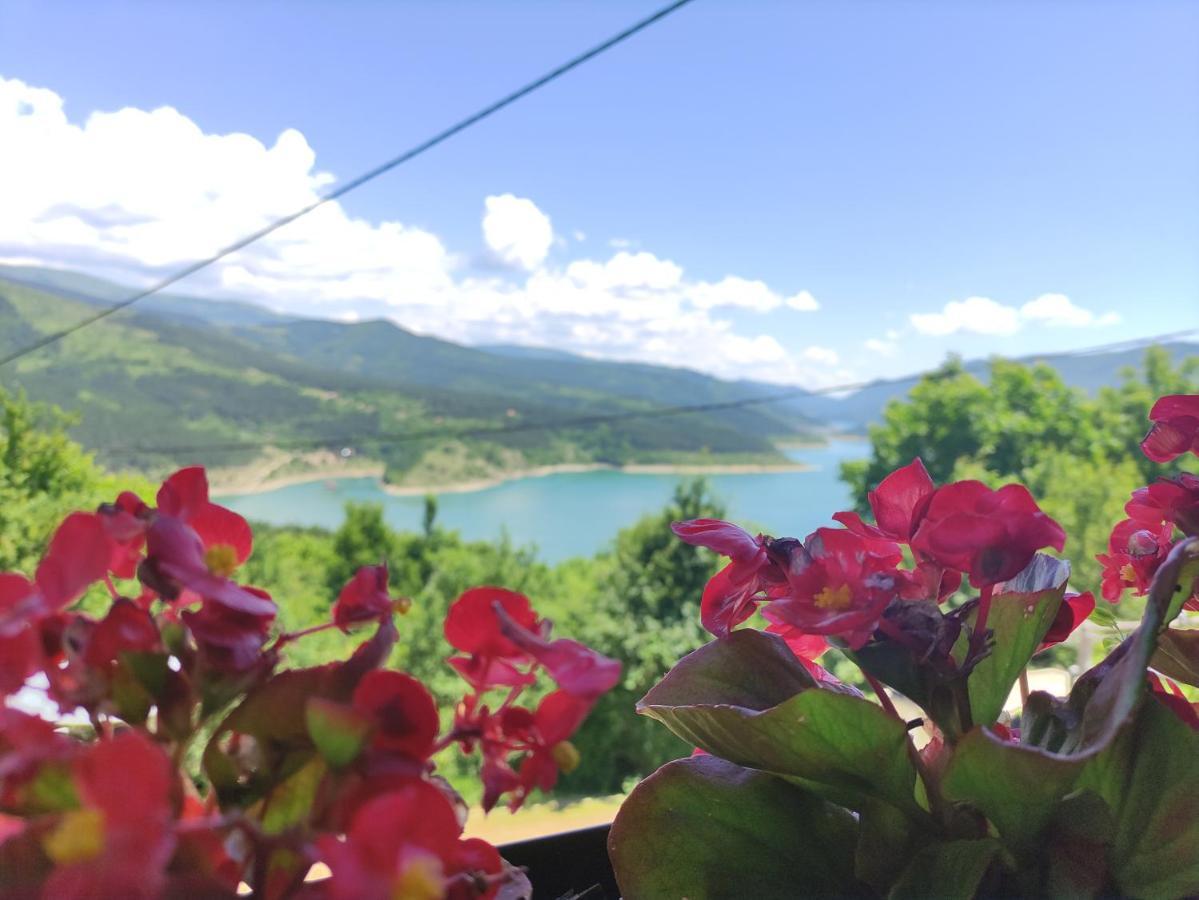 Vila Zapis - Zavojsko Jezero Pirot Buitenkant foto