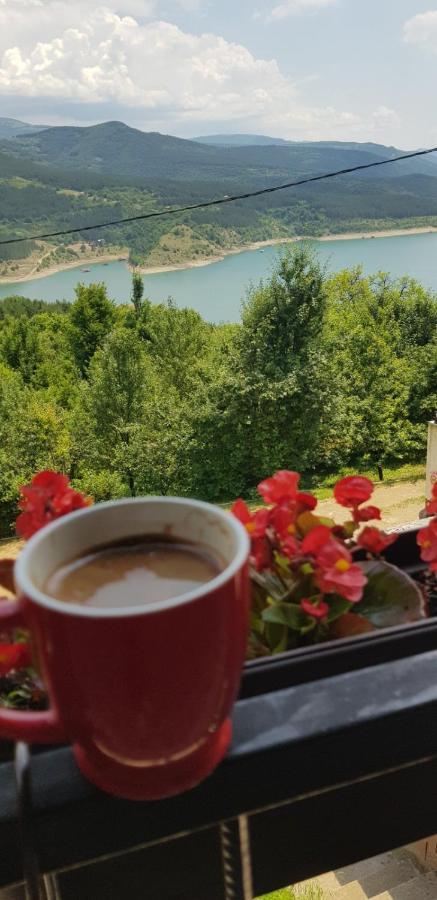 Vila Zapis - Zavojsko Jezero Pirot Buitenkant foto