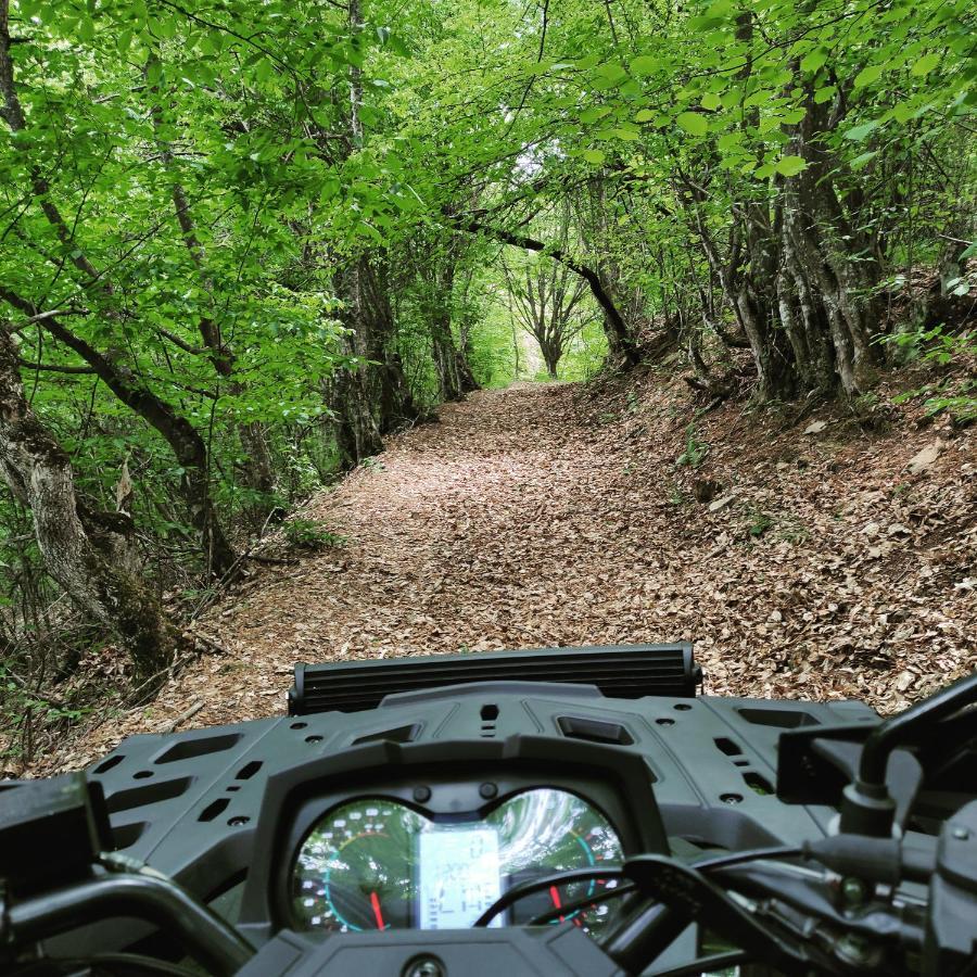 Vila Zapis - Zavojsko Jezero Pirot Buitenkant foto